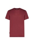 Pánské merino triko krátký rukáv ICEBREAKER Mens Merino 125 Cool-Lite Sphere III SS Tee, Port velikost: XL