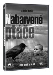 Nabarvené ptáče DVD