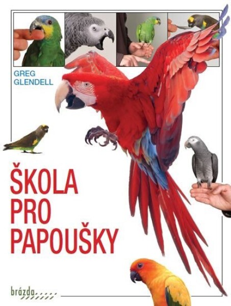 Škola pro papoušky, 2. vydání - Greg Glendell