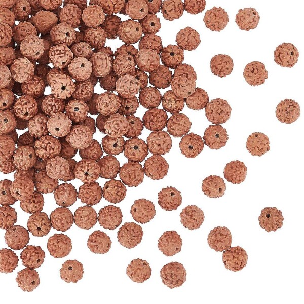 Přírodní rudraksha korálek - ∅ 6 - 8 mm - 1 ks