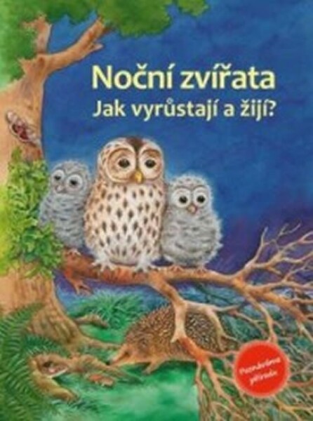 Noční zvířata - Jak vyrůstají a žijí? - Friedrun Reichenstetterová