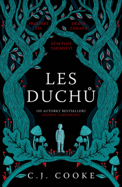 Les duchů - Carolyn Jess Cooke