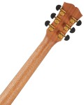 Dowina Cabernet GACE EAS-VTC