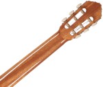 Ortega R19G
