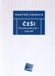 Češi - Proč jsme kdo jsme - a jak dál? - František Koukolík