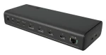 Icy Box USB-C 17w1 černá / Dokovací stanice / PD 3.1 140W / 2x HDMI 4K / 2x DP 8K / RJ-45 (IB-DK7401-CU31)