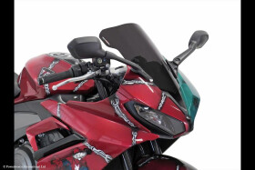 Triumph Daytona 660 24-25 Plexi Standard