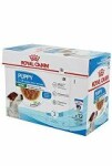 Royal Canin Mini Puppy, kapsa 85g