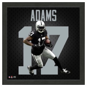 Obraz Las Vegas Raiders NFL Davante Adams #17 Impact Jersey