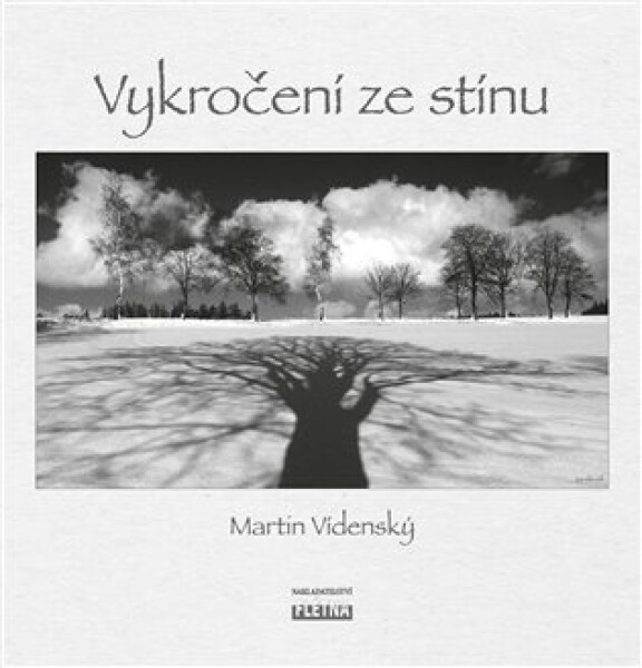 Vykročení ze stínu Martin Vídenský