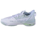 Boty Mizuno Wave Mirage X1GB235035