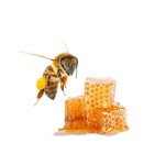 Peelingová sůl - Med, 1kg