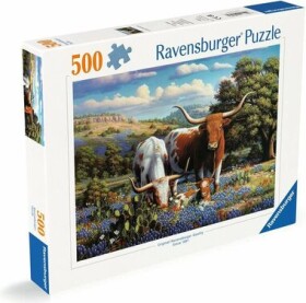 Ravensburger Dobytek na louce