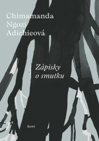 Zápisky o smutku - Chimamanda Ngozi Adichieová - e-kniha