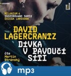 Dívka v pavoučí síti - David Lagercrantz (audiokniha)