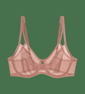 Signature Sheer W01 EX model 18977035 - Triumph Barva: BROWN, Velikost: 75C