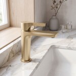 REA - Umyvadlová baterie PREMIUM Maxim Brush Gold Low REA-B8938