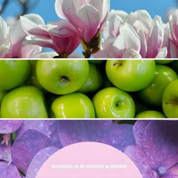 Millefiori Milano Magnolia Blossom Wood starorůžová / Vonný difuzér / 100 ml (77MDMW)