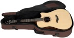 Furch Blue Plus Dc-SW CNR Active 2026