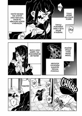 Zabiják démonů 20: Nezlomnou vůlí vstříc vítězství - Kojoharu Gotóge