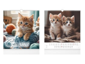Cats 2026 - nástěnný kalendář