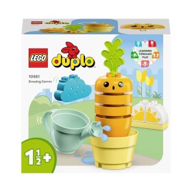 LEGO LEGO DUPLO® 10981