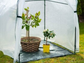 Fóliovník – Chili 1,2 x 1,2 m