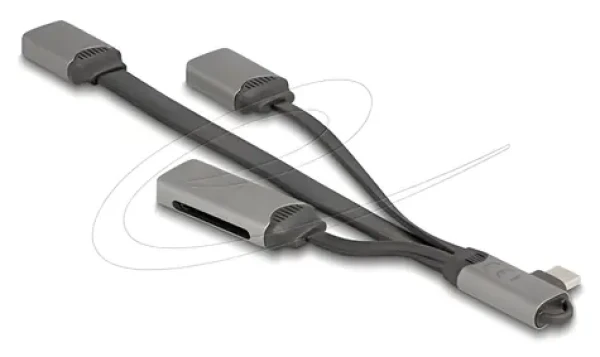 DeLock USB-C Hub / USB hub / USB 3.2 Gen 1 / 2× USB-A + čtečka SD a microSD (64303)
