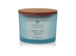 Vonná svíčka CHESAPEAKE BAY CANDLE Reflection & Clatiry 312g / 3 knoty