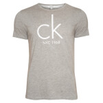 Pánské tričko s krátkým rukávem KM0KM00189-020 - Calvin Klein L