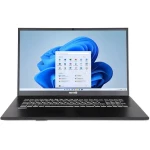 TERRA MOBILE 1716R šedá / Notebook / 17.3" FHD / Intel Core i5-1334U / 16GB / 500GB SSD / W11H (US1220855)
