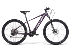 AMULET 29 eRival 5.0 SR pneu 29", rám 17" (M), model 2024, baterie 20Ah/720Wh - ZDARMA dopravné, odborná montáž, seřízení! (Záruka nejlepší ceny! Nakupujte u autorizovaného prodejce.)
