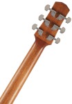Ibanez AAD50 Transparent Charcoal Burst