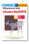 Úžasná bludiště Můj pracovní sešit