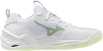 Sálová obuv Mizuno WAVE STEALTH PRO X1GB268085 Velikost obuvi v EU: 40