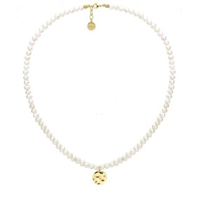 Perlový choker náhrdelník Bibiana Gold - chirurgická ocel, perla, Zlatá 45 cm + 3 cm (prodloužení) Bílá