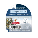 Yankee Candle Vosk do aromalampy Yankee Candle 22 g – North Pole Hideaway, modrá barva, vosk