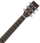 Tanglewood TWX6CEK