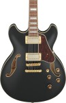 Ibanez AS73G Black