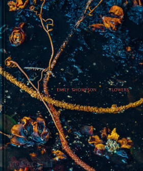 Emily Thompson Flowers - Shane Connolly