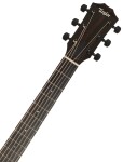 Taylor 214ce-BLK Plus