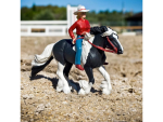 Safari Ltd. Safari Ltd. Figurka - Jezdkyně na koni