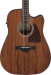 Ibanez AW247CE Natural