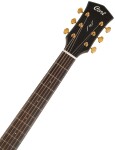 Cort Gold-DC6 NAT