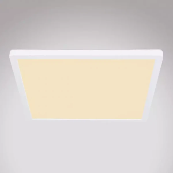 Stropní svítidlo 41563-24W LED bílý PL
