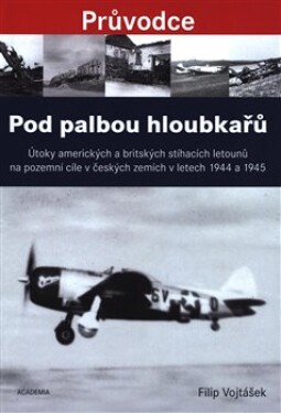 Pod palbou hloubkařů - Útoky amerických a britských stíhacích letounů na pozemní cíle v českých zemích v letech 1944 a 1945 - Filip Vojtášek
