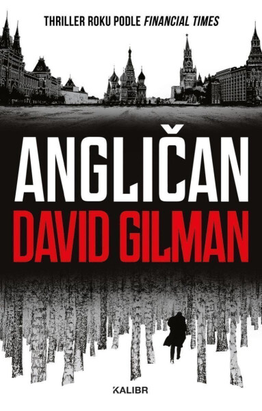 Angličan (poškozené) - David Gilman