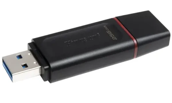 Kingston DataTraveler Exodia 256GB červená / Flash Disk / USB 3.2 (DTX/256GB)