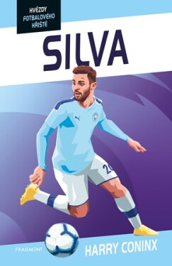 Hvězdy fotbalového hřiště - Silva