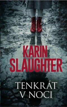 Tenkrát v noci - Karin Slaughter - e-kniha
